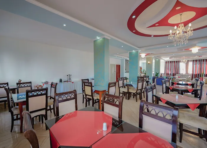 Hotel Divo Palace 3*