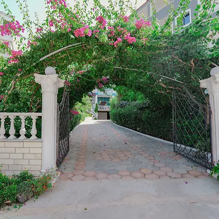 Hotel Divo Palace 3*